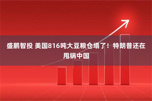 盛鹏智投 美国816吨大豆粮仓塌了！特朗普还在甩锅中国