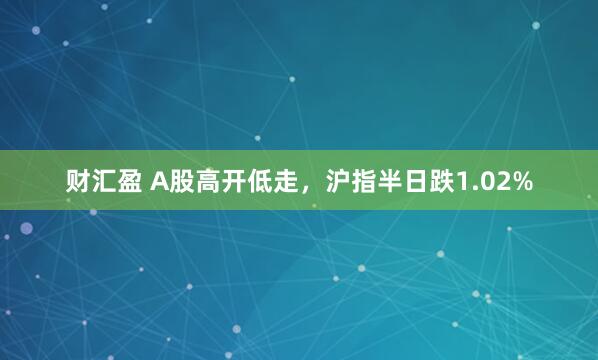 财汇盈 A股高开低走，沪指半日跌1.02%